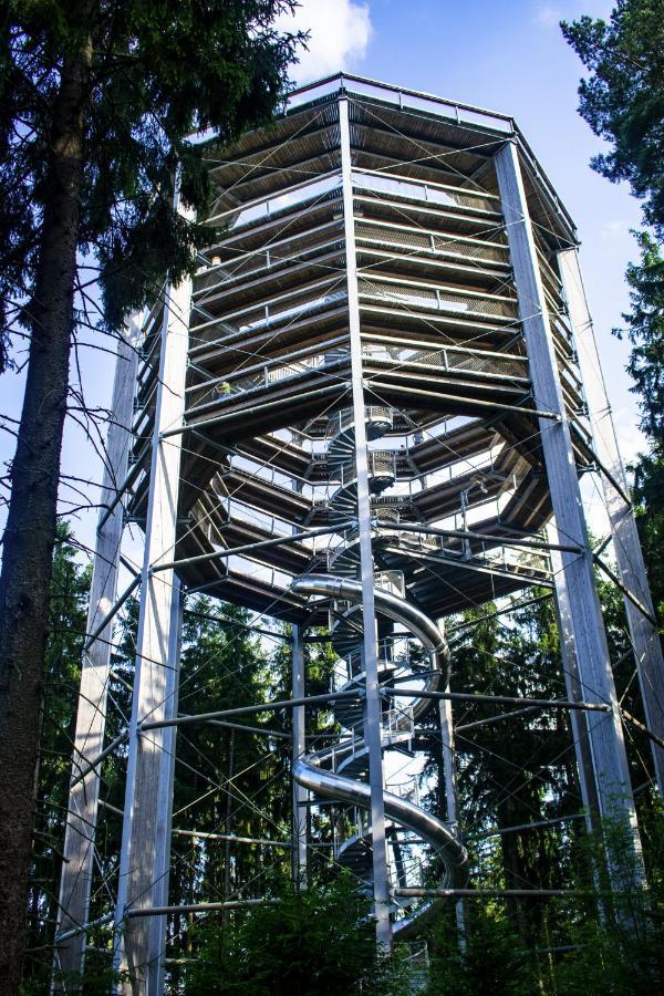Ubytování Hanka v hotelovém pokoji C408 Frymburk Exteriér fotografie