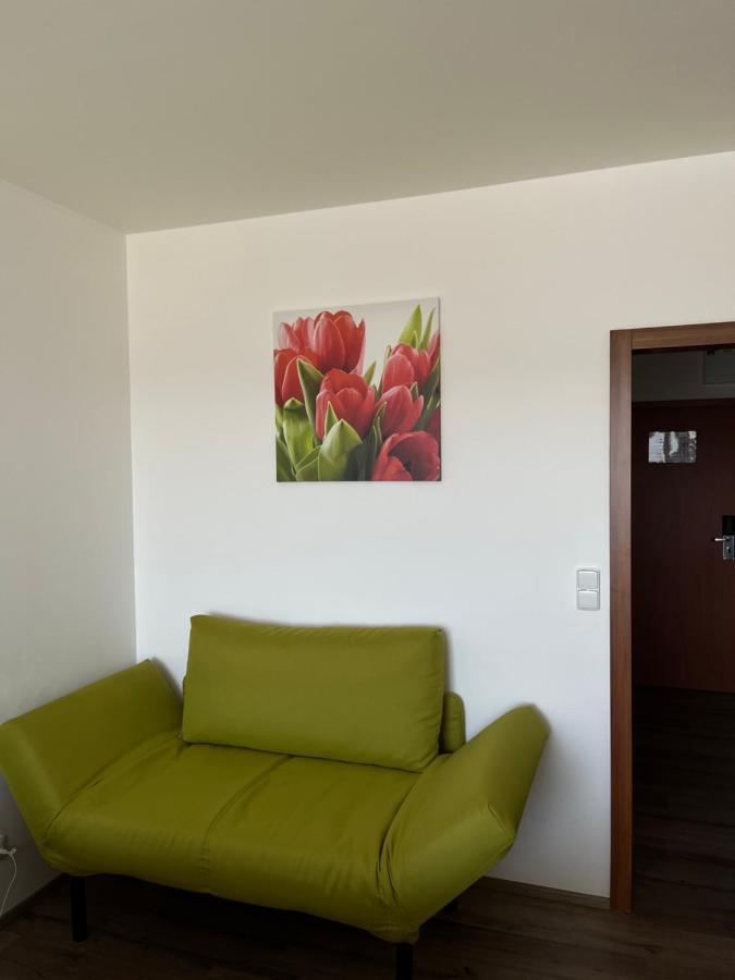 Ubytování Hanka v hotelovém pokoji C408 Frymburk Exteriér fotografie